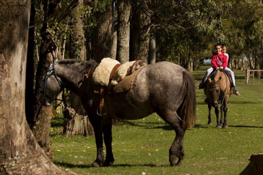 Complejo Turistico Flores Trinidad Dış mekan fotoğraf